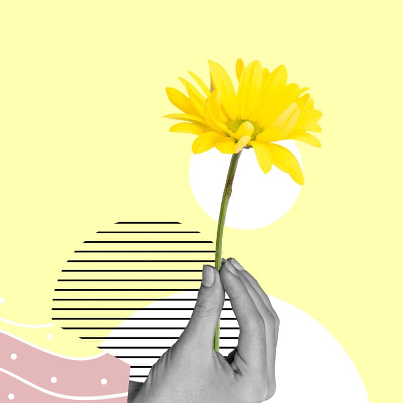 Unsere Video- & Audioprojekte Unsere Video- & Audioprojekte