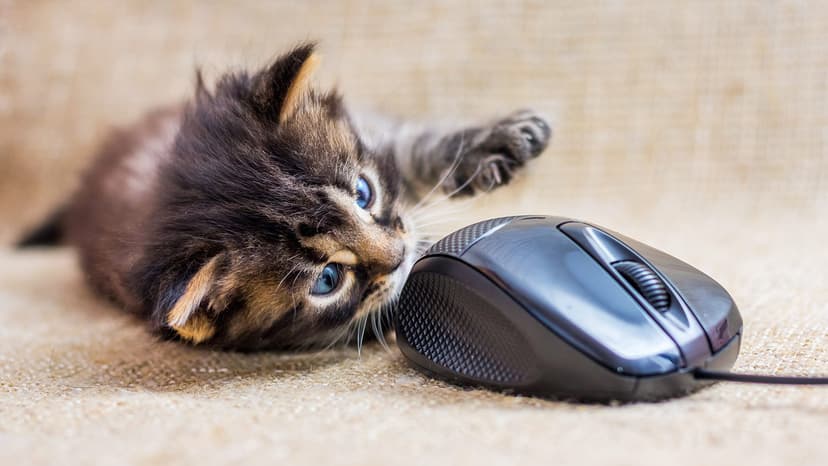 Platzhalterbild Blogartikel